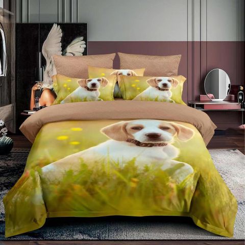 Pachet economic lenjerie pat o persoana Bumbac Finet 3 piese 3D, o perna matlasata 50x70 cm si pilota 140x210 cm primavara toamna (F1P6)-1