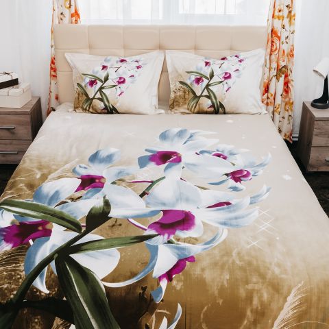 Lenjerie pat dublu Bumbac 100% Ranforce 4 piese extra large, cearsaf pat 240x260 cm, pilota 200x220 cm, 2 fete perne 50x70 cm,  Alb / Bej RNF_2