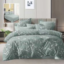 Lenjerie pat dublu Economy 4 piese, cearsaf pat 230x250 cm si pilota 200x230 cm, 2 fete perne 50x70, Eleganta Verde ECN39 Ralex Pucioasa