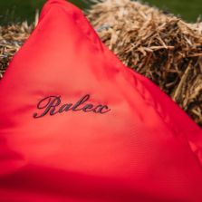 Perna de gradina umpluta cu perle din puf siliconic si polistiren 120x140 cm semi impermeabila - Rosu