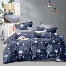 Lenjerie pat dublu Economy 4 piese, cearsaf pat 230x250 cm si pilota 200x230 cm, 2 fete perne 50x70, Peisaj nocturn Gri / Albastru ECN54 Ralex Pucioasa 