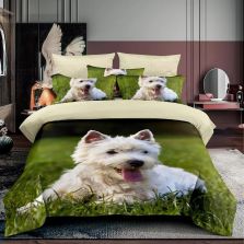 Pachet economic lenjerie pat o persoana Bumbac Finet 3 piese 3D, o perna matlasata 50x70 cm si pilota 140x210 cm primavara toamna (F1P19)-1