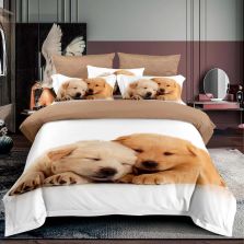 Pachet economic lenjerie pat o persoana Bumbac Finet 3 piese 3D, o perna matlasata 50x70 cm si pilota 140x210 cm primavara toamna (F1P32)-1