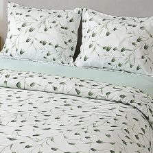 Lenjerie pat Ranforce Cotton Pro Bumbac 100%, King Size cu husa, 4 piese Eleganta Alb/Verde RCP65